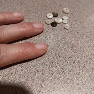 9 antique  tiny Baby buttons